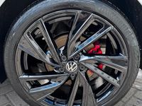 Gebraucht VW Polo Edition 207 PS (152 kW) 2024 Beige Kleinwagen