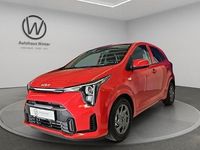 Neu Kia Picanto Vision 68 PS (50 kW) 2025 Rot Kleinwagen