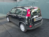 Gebraucht Fiat Panda 69 PS (50 kW) 2024 Schwarz Kleinwagen