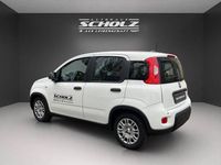 Gebraucht Fiat Panda 70 PS (51 kW) 2024 Andere Limousine