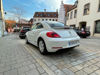 gebraucht VW Beetle 2.0 TSI Sport in weiß
