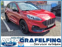 Gebraucht Ford Kuga ST-Line X 150 PS (110 kW) 2024 Rot SUV