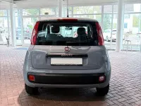 Gebraucht Fiat Panda Easy 69 PS (50 kW) 2020 Grau Kleinwagen