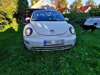 gebraucht VW Beetle 