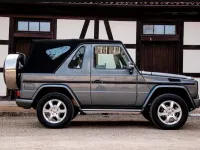 Gebraucht Mercedes G350 224 PS (164 kW) 2010 Grau SUV