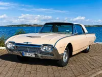 Gebraucht Ford V8 300 PS (220 kW) 1961 Beige Coupé