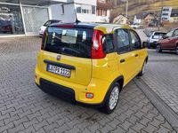 Gebraucht Fiat Panda 69 PS (50 kW) 2024 Bicolore gelb/dach schwarz Kleinwagen