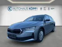 Neu Skoda Octavia Essence 116 PS (85 kW) 2026 Silber Kombi