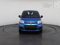 Neu Fiat Panda 69 PS (50 kW) 2025 Kleinwagen