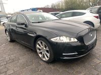 gebraucht Jaguar XJ Panorama