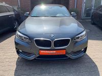 Gebraucht BMW 220 Advantage 190 PS (139 kW) 2019 Grau Cabrio