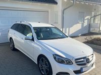 Gebraucht Mercedes E250 204 PS (150 kW) 2016 Weiß Kombi