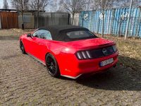 gebraucht Ford Mustang Cabrio 5.0 Ti-VCT V8 Black Shadow Edition