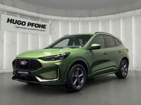 Gebraucht Ford Kuga ST-Line X 186 PS (136 kW) 2024 Bursting green SUV