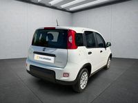 Gebraucht Fiat Panda 69 PS (50 kW) 2023 Weiß Kleinwagen
