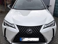 Gebraucht Lexus UX 250h 184 PS (135 kW) 2020 Weiß SUV