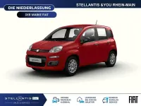Neu Fiat Panda Icon 65 PS (47 kW) 2026 Rot Kleinwagen