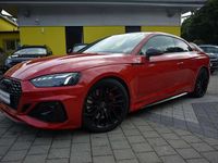 Gebraucht Audi RS5 Ambiente 450 PS (330 kW) 2024 Progressivrot metallic Coupé