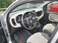 gebraucht Fiat Panda NewEasy