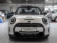 Gebraucht Mini Cooper S Cabriolet Classic 178 PS (130 kW) 2023 Weiß Cabrio