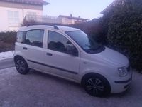 Gebraucht Fiat Panda 60 PS (44 kW) 2011 Weiß Kleinwagen