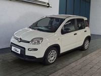 Gebraucht Fiat Panda 69 PS (50 kW) 2023 Weiß Limousine