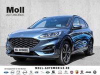 Gebraucht Ford Kuga ST-Line X 224 PS (164 kW) 2024 Chroma blau met. SUV