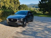 gebraucht Mazda CX-30 2.0, Selection, Matrix-Led, Bose
