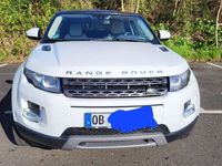 gebraucht Land Rover Range Rover evoque Coupe TD4 Pure Technik