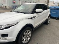 Gebraucht Land Rover Range Rover evoque Dynamic 150 PS (110 kW) 2013 Weiß SUV