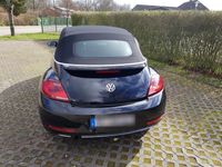 gebraucht VW Beetle 