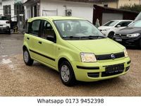 Gebraucht Fiat Panda Active 54 PS (39 kW) 2005 Grün Kleinwagen
