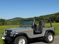Gebraucht Jeep Wrangler 178 PS (130 kW) 1994 Grau SUV