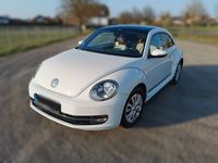 gebraucht VW Beetle Design 1.2 TSI CUP