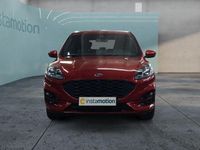 Gebraucht Ford Kuga ST-Line 152 PS (111 kW) 2024 Rot SUV