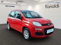 gebraucht Fiat Panda 8VEU6d-T Easy 1.2 8V++Wenige KM!++PDC++