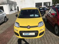 Neu Fiat Panda 71 PS (52 kW) 2025 Positano gelb Kleinwagen