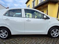 Gebraucht Kia Picanto Edition 7 84 PS (61 kW) 2019 Weiß Kleinwagen