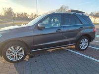 Gebraucht Mercedes ML350 258 PS (189 kW) 2015 Grau SUV