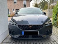 gebraucht Cupra Leon 1.5 eTSI 110kW DSG - ACC Winter Vision Plus