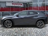 Gebraucht Lexus UX 250h 184 PS (135 kW) 2022 Grau SUV