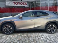 Gebraucht Lexus UX 250h 184 PS (135 kW) 2023 Weiß SUV