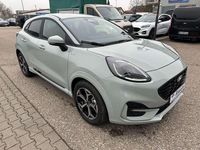 Neu Ford Puma ST-Line 125 PS (91 kW) 2025 Cactus gray Limousine