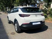 Gebraucht Opel Grandland X Selection 131 PS (96 kW) 2019 Jade weiss/arktis weiss SUV
