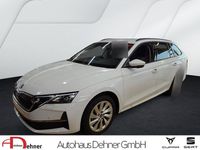 Gebraucht Skoda Octavia Selection 150 PS (110 kW) 2025 Weiß Kombi