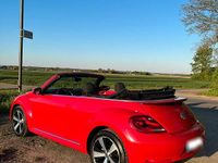 Usata VW Beetle 2015 Utilitaria