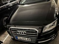 gebraucht Audi SQ5 3.0 TDI quattro tiptronic competition