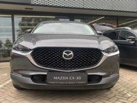 gebraucht Mazda CX-30 Exclusive-Line 150 PS *Leder*DASO*DESI*Neuwagen*