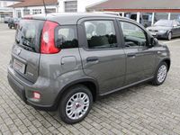 gebraucht Fiat Panda Hybrid 1,0 GSE / Klima, Servo, Radio, Bluetooth