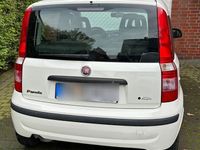 gebraucht Fiat Panda 